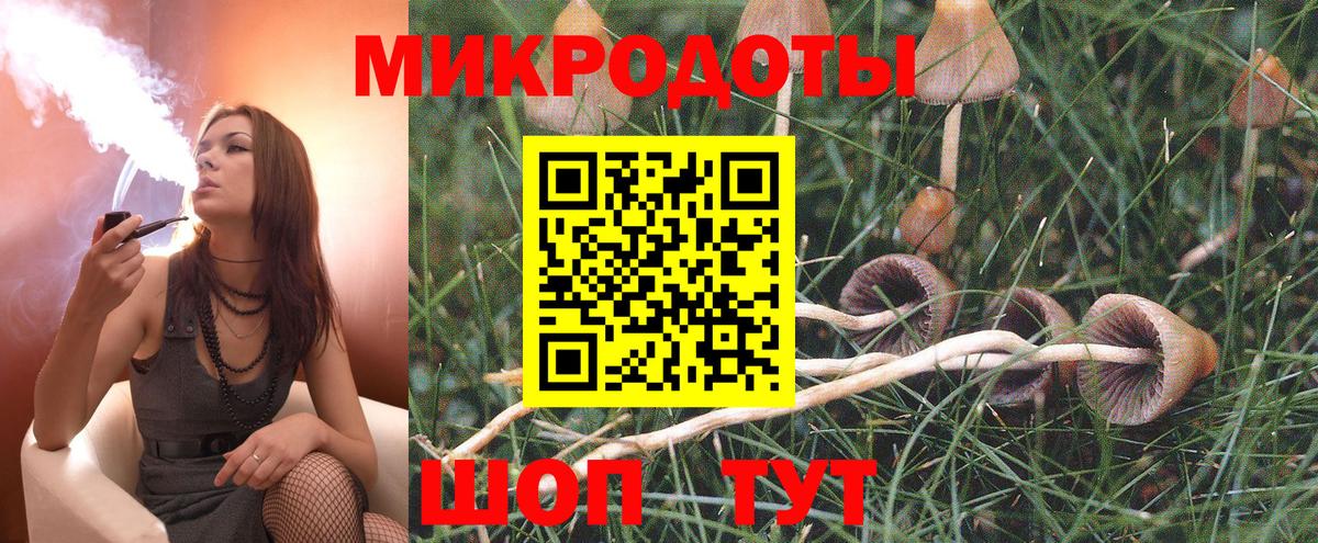 Галлюциногенные грибы мухоморы Лесной